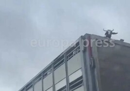 La Guardia Civil denuncia al conductor de un camión por llevar una cabra en lo alto del remolque