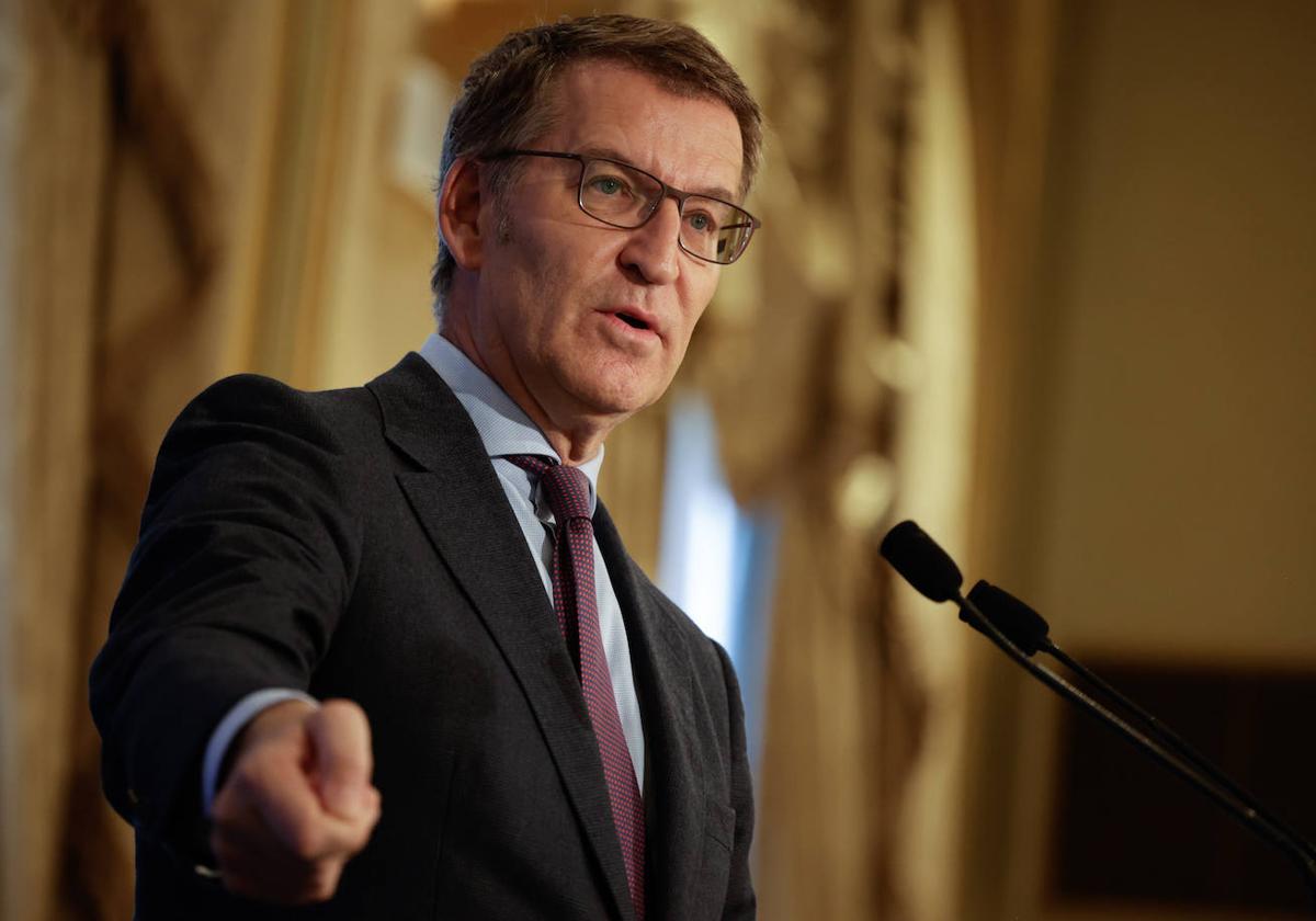 Alberto Núñez Feijóo, presidente del Partido Popular