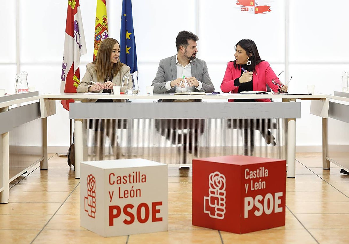 El líder del PSOE de Castilla y León, Luis Tudanca, junto a sus compañeras Ana Sánchez y Virginia Barcones