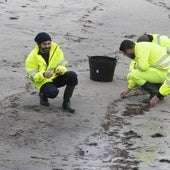 Un investigador, sobre los pélets: «No habría que tener más precauciones que para coger una bolsa del congelador»