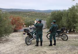 Investigan a una persona en La Victoria por matar a un perro tras lanzarlo en un saco a un contenedor soterrado