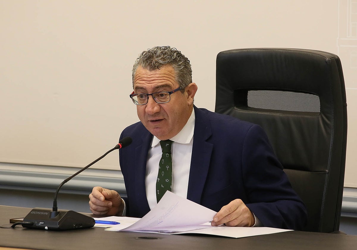 El presidente de la Diputación de Alicante, Toni Pérez, durante la sesión plenaria.