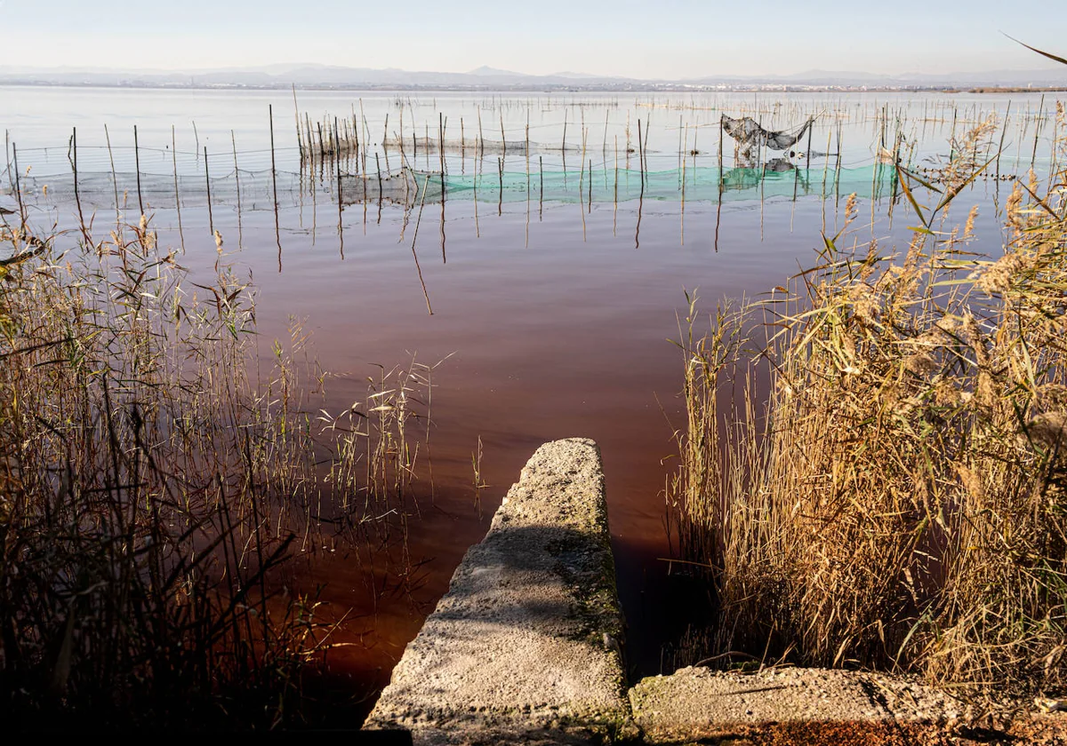 Imagen del lago de la Albufera de Valencia tomada a finales de diciembre, con el agua de color marrón