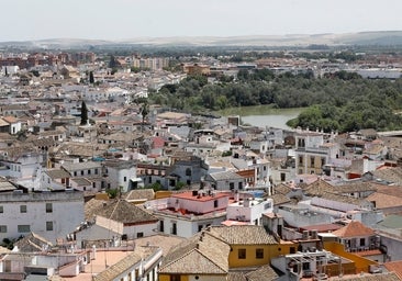 El plan de gestión del Casco propone al caballo de Pura Raza Español como Patrimonio de la Humanidad