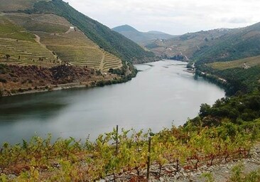 El río Duero, cauce internacional de vinos de calidad