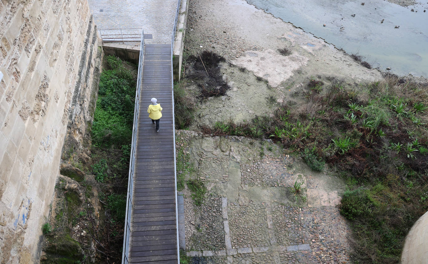 Fotos: la sequía deja bajo mínimos el cauce del río Guadalquivir en Córdoba