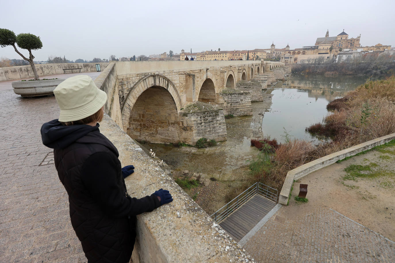 Fotos: la sequía deja bajo mínimos el cauce del río Guadalquivir en Córdoba