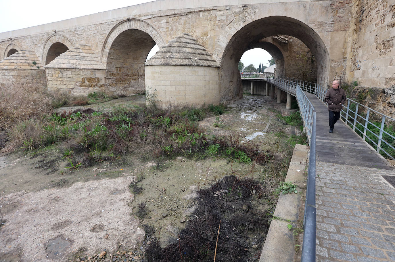 Fotos: la sequía deja bajo mínimos el cauce del río Guadalquivir en Córdoba