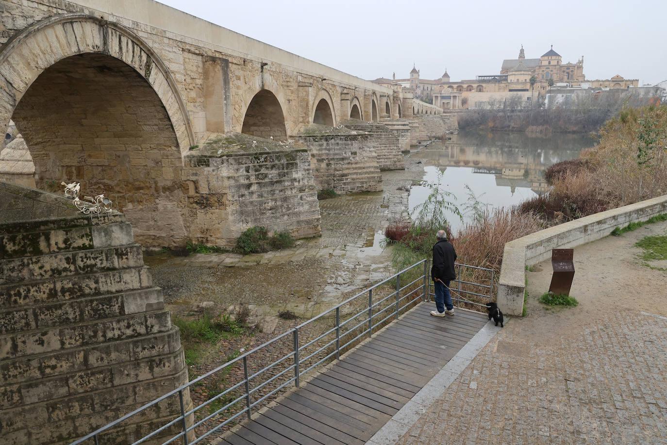 Fotos: la sequía deja bajo mínimos el cauce del río Guadalquivir en Córdoba