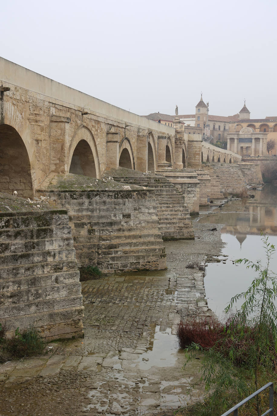 Fotos: la sequía deja bajo mínimos el cauce del río Guadalquivir en Córdoba