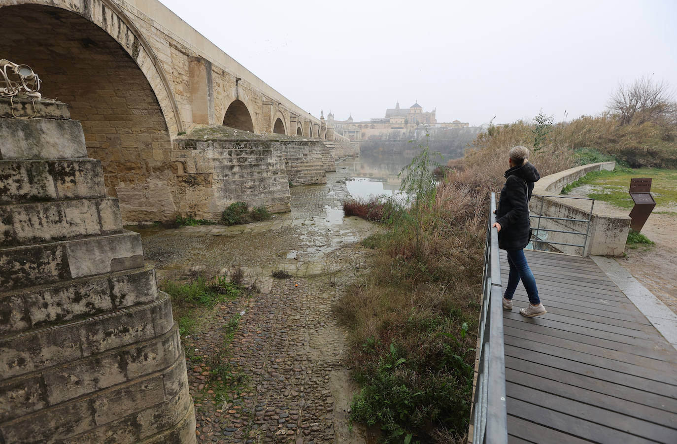 Fotos: la sequía deja bajo mínimos el cauce del río Guadalquivir en Córdoba