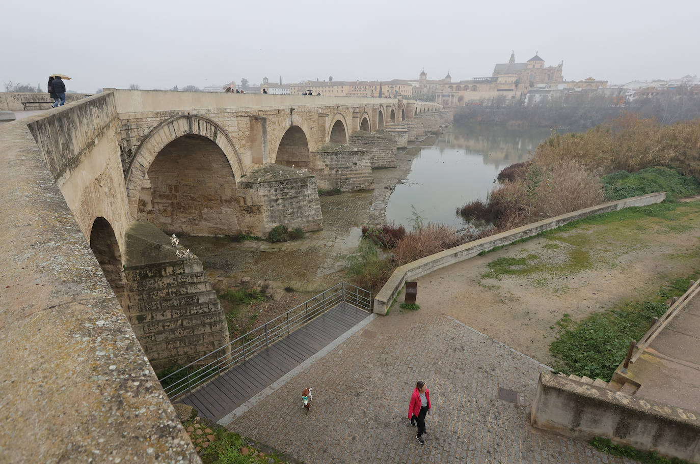 Fotos: la sequía deja bajo mínimos el cauce del río Guadalquivir en Córdoba