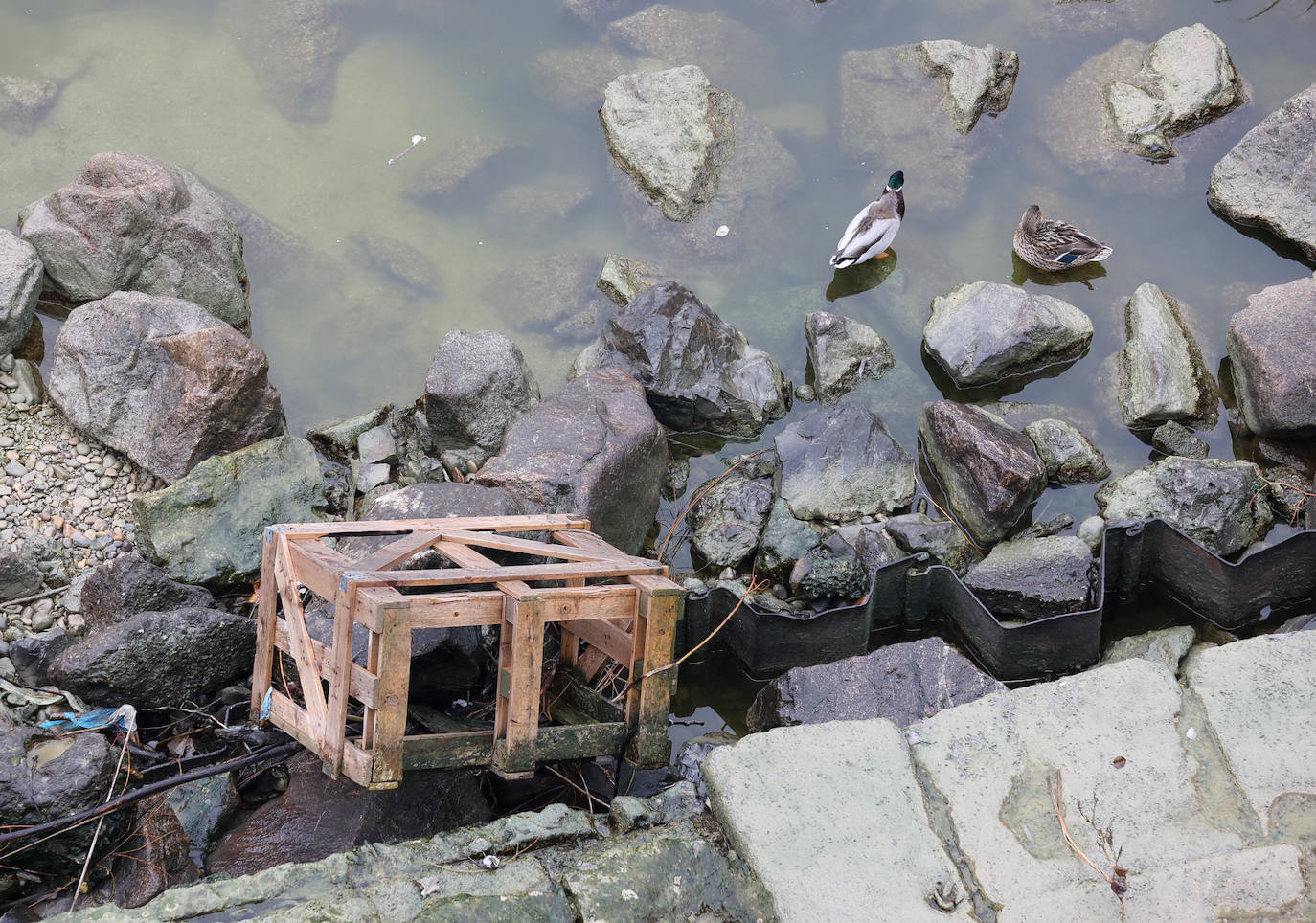 Fotos: la sequía deja bajo mínimos el cauce del río Guadalquivir en Córdoba