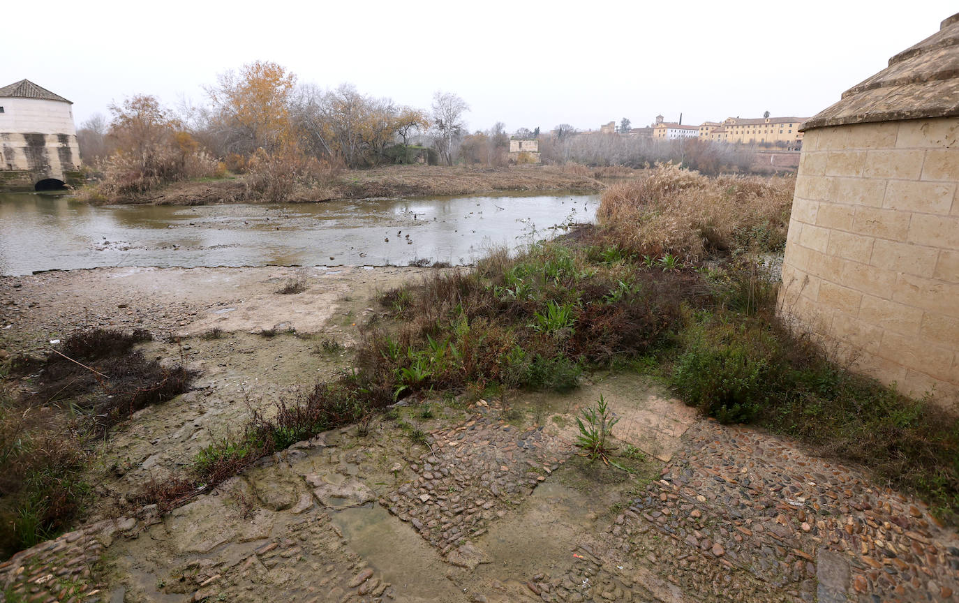 Fotos: la sequía deja bajo mínimos el cauce del río Guadalquivir en Córdoba