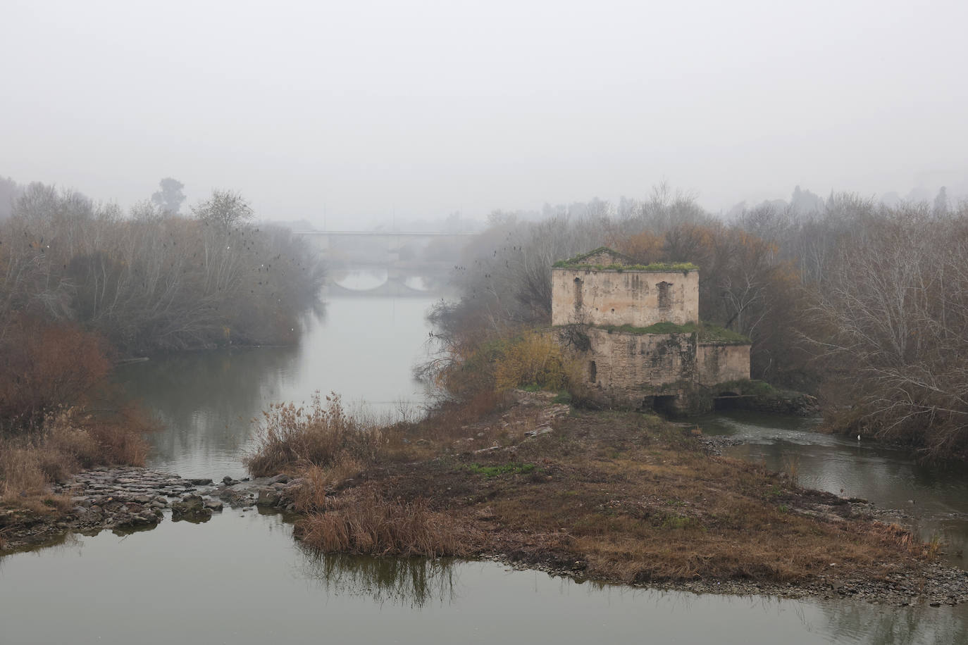 Fotos: la sequía deja bajo mínimos el cauce del río Guadalquivir en Córdoba