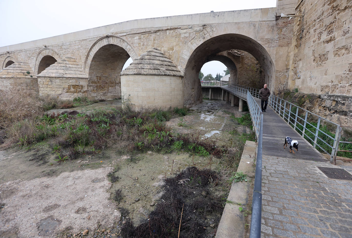Fotos: la sequía deja bajo mínimos el cauce del río Guadalquivir en Córdoba