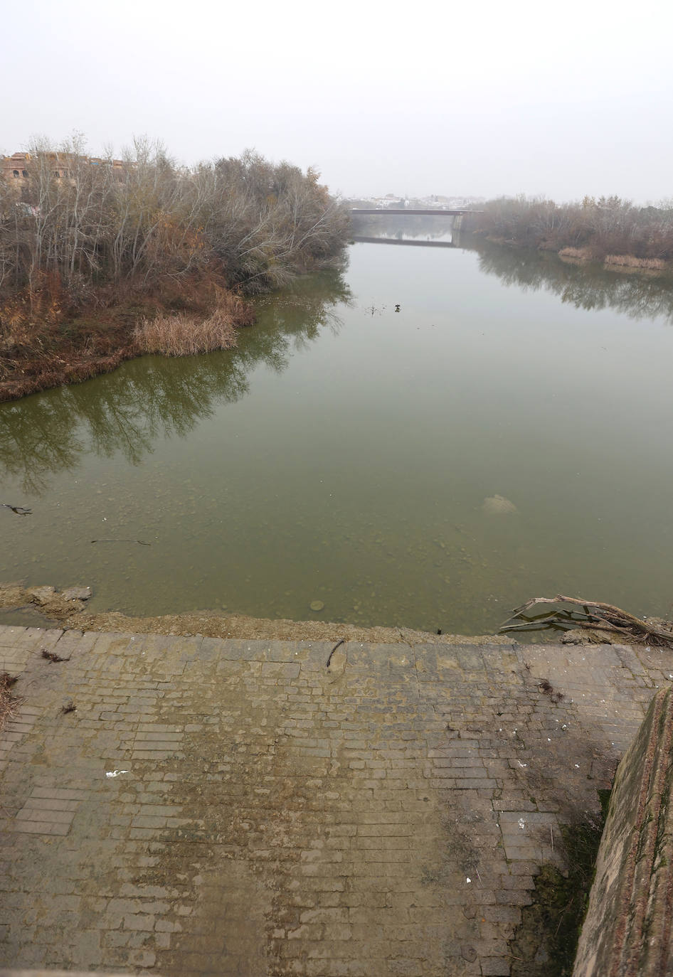 Fotos: la sequía deja bajo mínimos el cauce del río Guadalquivir en Córdoba