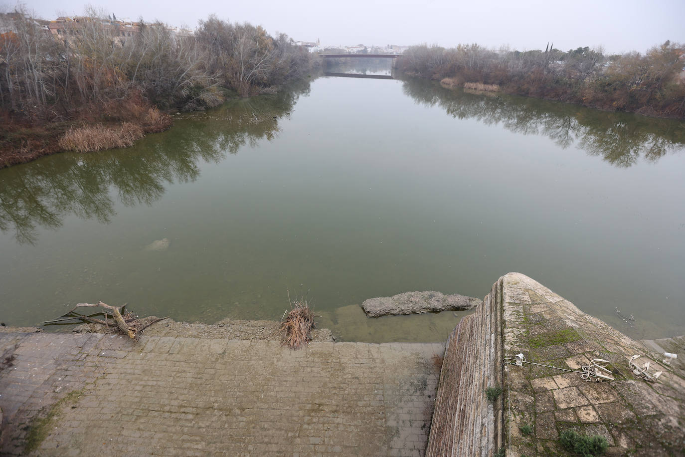Fotos: la sequía deja bajo mínimos el cauce del río Guadalquivir en Córdoba