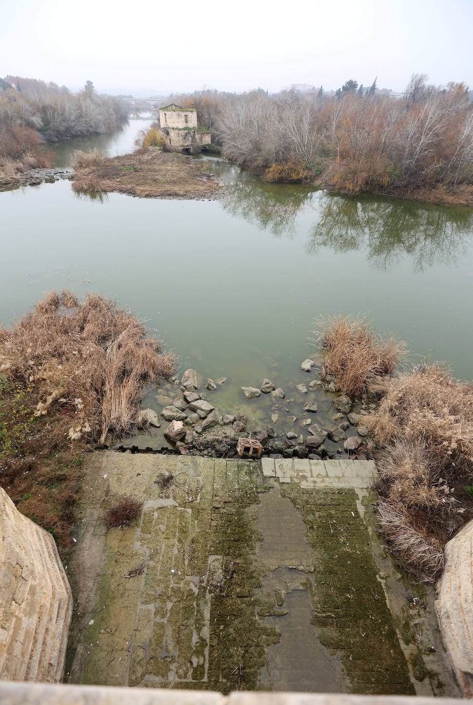 Fotos: la sequía deja bajo mínimos el cauce del río Guadalquivir en Córdoba