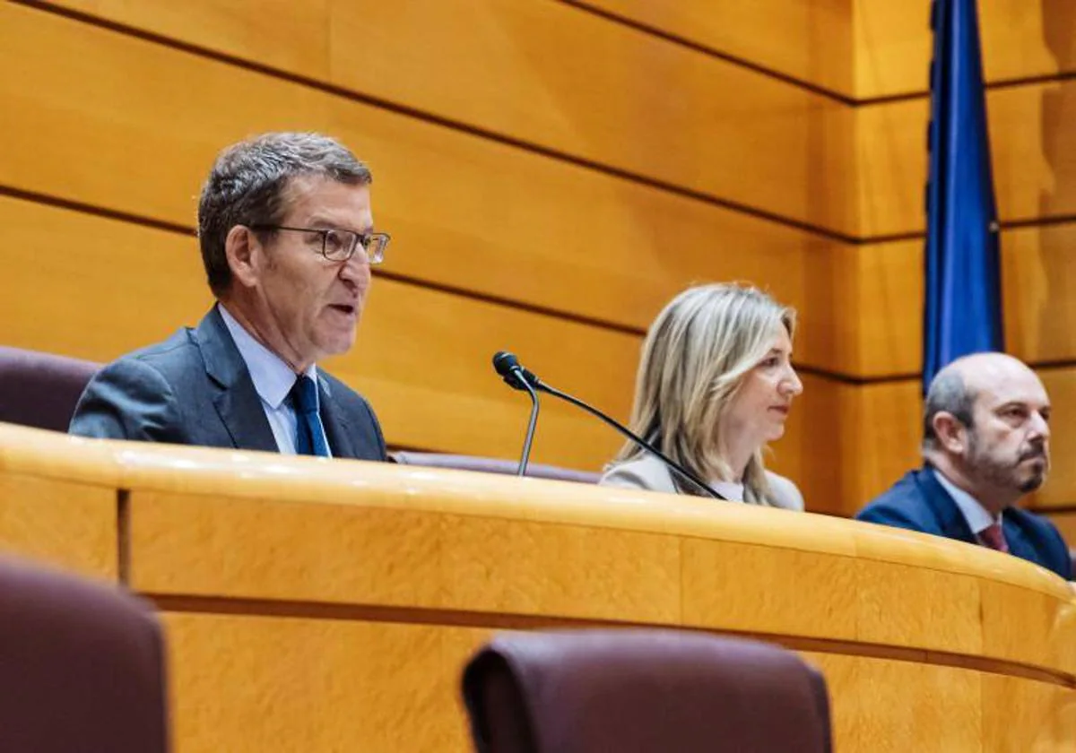 Feijóo durante la intervención ante los grupos parlamentarios del PP en el Congreso y el Senado