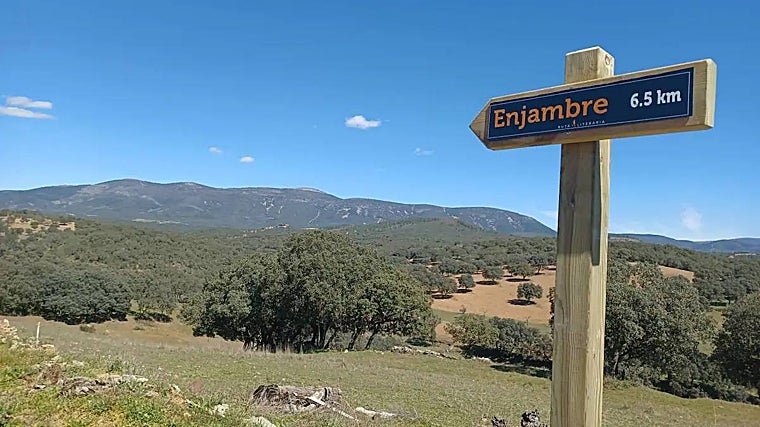 Los Montes de Toledo llegan este jueves a Fitur 2024 con las rutas literarias &#039;Quercus&#039;, &#039;Enjambre&#039; y &#039;Valhondo&#039;