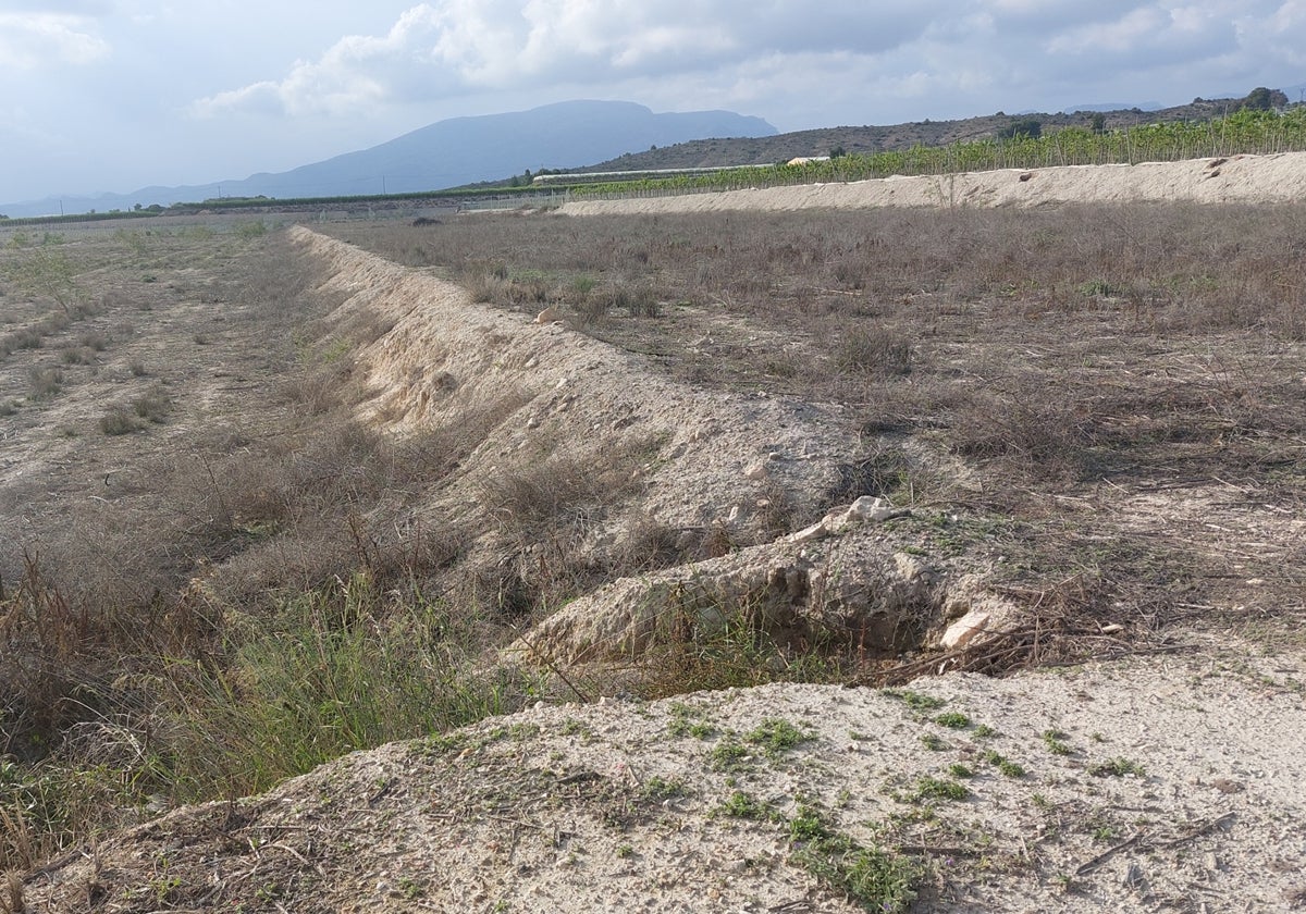 Tierras de cultivo abandonadas en la zona donde se proyecta El Secarral, en imágenes difundidas por la plataforma vecinal en sus redes sociales.