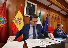 El Pleno de Córdoba exige al Gobierno, Adif y Renfe mejoras sustanciales en el Avant a Sevilla