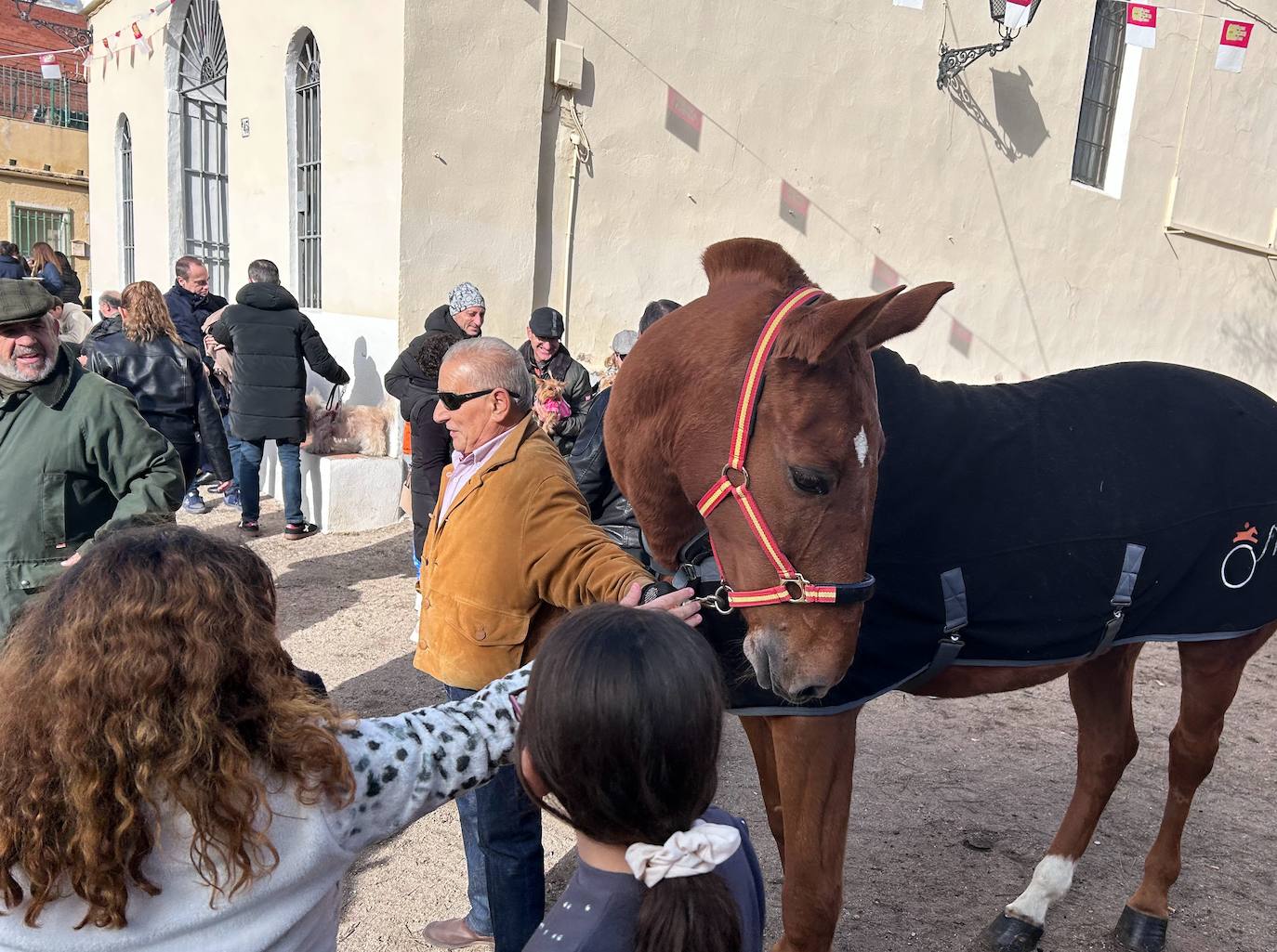 Los toledanos llevan a bendecir a sus animales a la ermita de San Antón