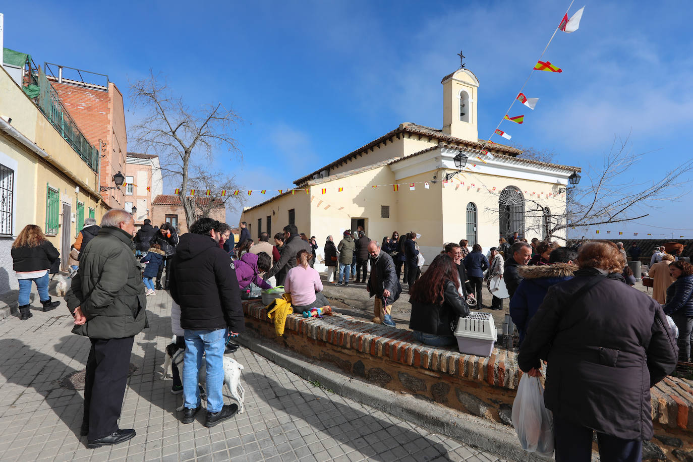 Los toledanos llevan a bendecir a sus animales a la ermita de San Antón