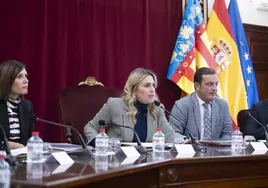 La Diputación de Castellón cierra filas para exigir las tasas portuarias más beneficiosas para cada sector productivo de la provincia