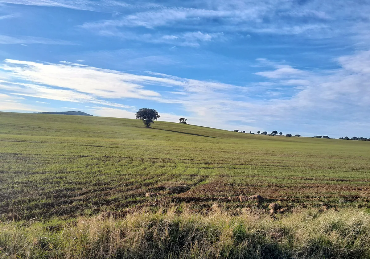 Las tierras raras remueven de nuevo el Campo de Montiel