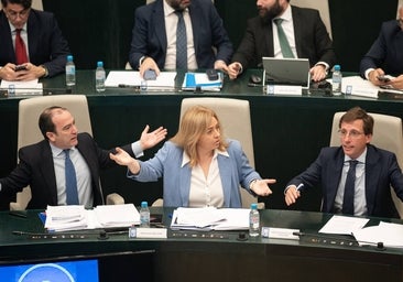 La crispación se instala en Cibeles: «Ha sido el pleno más tenso y embarrado que he conocido en nueve años»