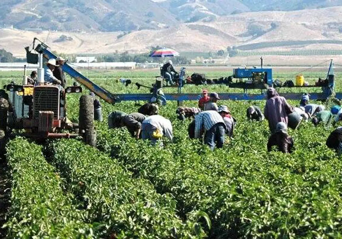 UGT exige un desbloqueo del convenio del Campo ya que los 13.000 trabajadores son «olvidados»