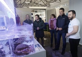 La Xunta pide declarar los bancos de marisqueo afectados por las lluvias como zonas 'catastróficas'