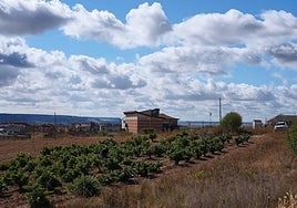 Investigadas 17 personas por unas construcciones en suelo rústico en Cigales (Valladolid) y otras tres por estafa