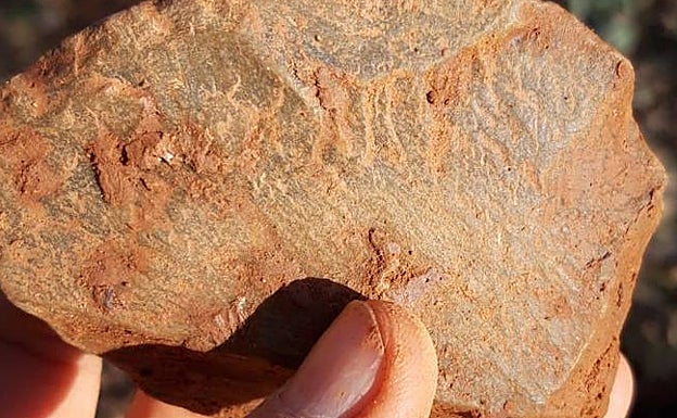 Lasca de cuarcita hallada en la prospección en el valle del Arlanza