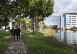 Málaga sumará otro centro tecnológico internacional, esta vez para desarrollar microchips
