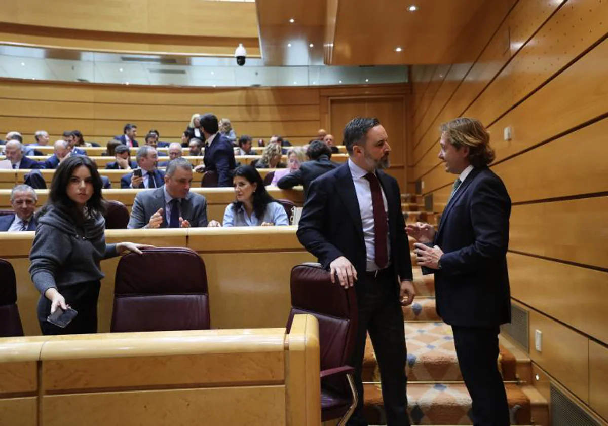 Santiago Abascal y Jorge Campos en el pleno del Congreso celebrado en el Senado el pasado 18 de enero