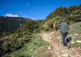 Ronda será la sede administrativa del Parque Nacional Sierra de las Nieves