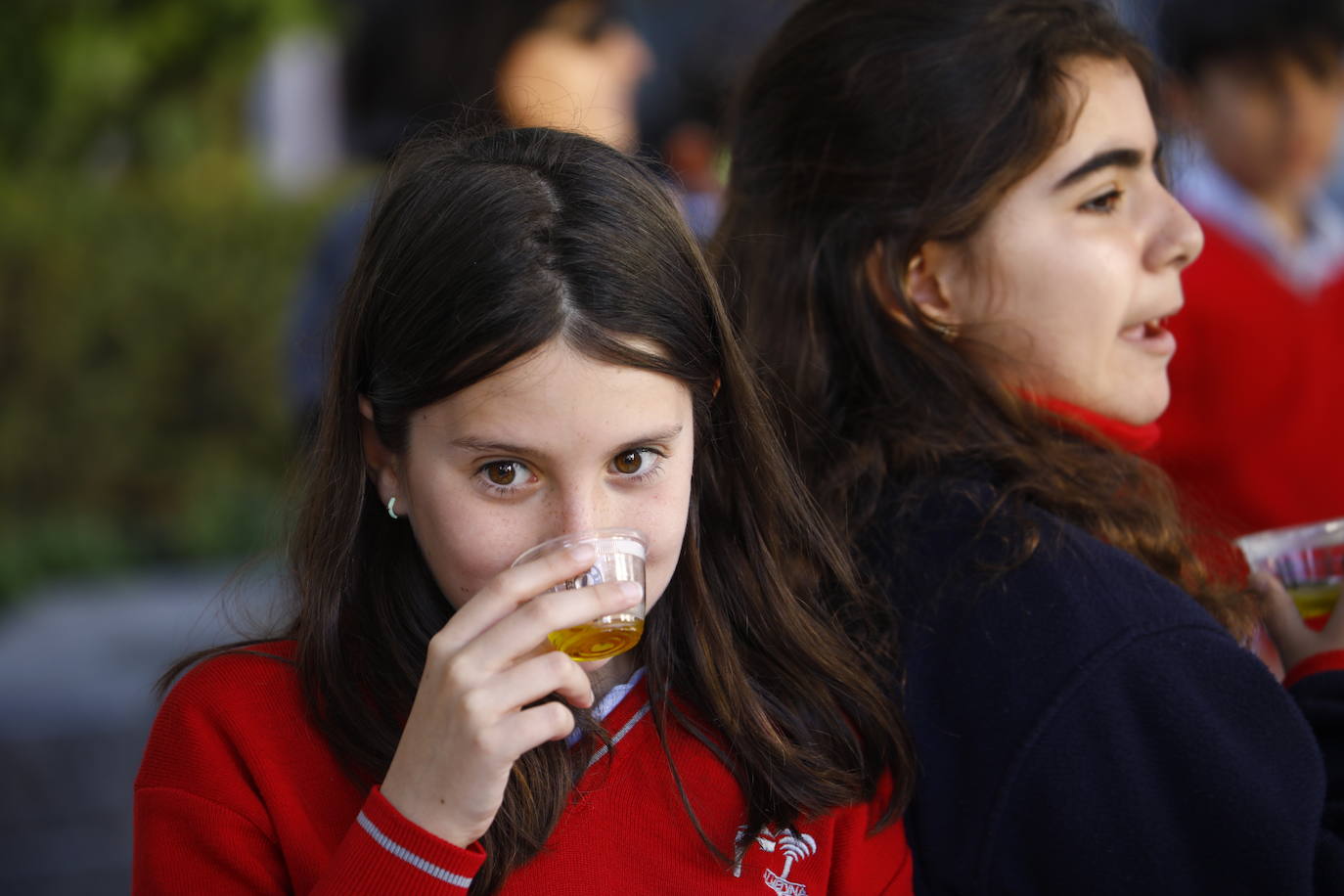 La inauguración del Festival del Aceite Virgen Extra de Córdoba, en imágenes