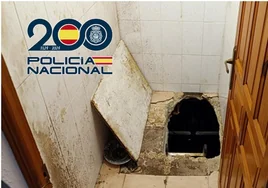 Más de 900 plantas de marihuana bajo el váter: el insólito escondite descubierto por la Policía en Valencia