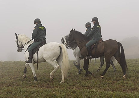 Imagen secundaria 1 - Arriba, Sandra con su galga 'Leyenda', que llegó hasta la final. Abajo, guardias civiles a caballo, parte del dispositivo en el Campeonto, en el que no falta una carpa con bar y puestos con todo tipo de detalles en torno al mundo del galg