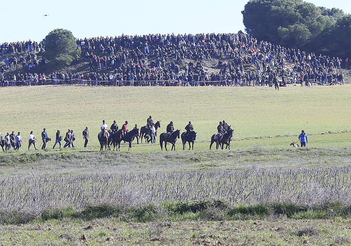 Numeroso público, este domingo en la final del Campeonato de Galgos celebrado en Nava del Rey (Valladolid)