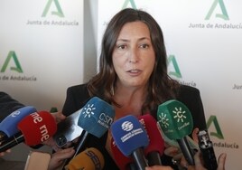 La Junta decreta el desamparo provisional de la bebé ingresada por presuntos malos tratos en Málaga