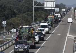 Tractoradas en Córdoba: decenas de agricultores llegan a la capital y Espiel en el tramo final de su protesta