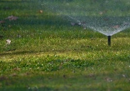 Las Rozas ahorra casi la mitad de agua al digitalizar el riego de parques y zonas verdes