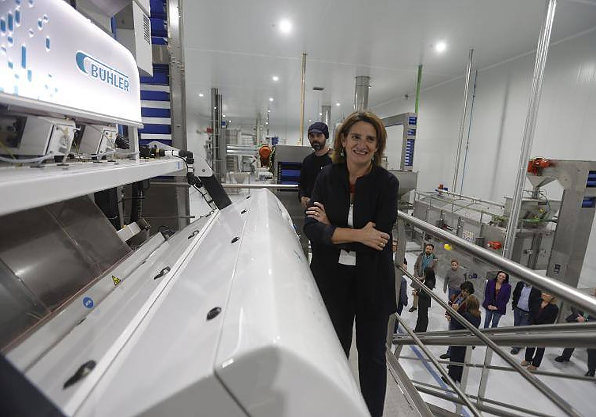 La vicepresidenta Teresa Ribera en su reciente visita a Córdoba