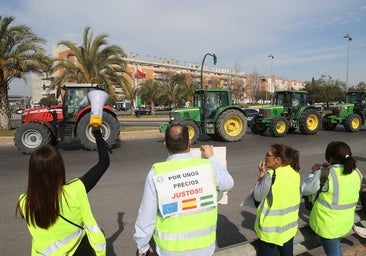 Fotos: la potente tractorada del campo en la ciudad de Córdoba