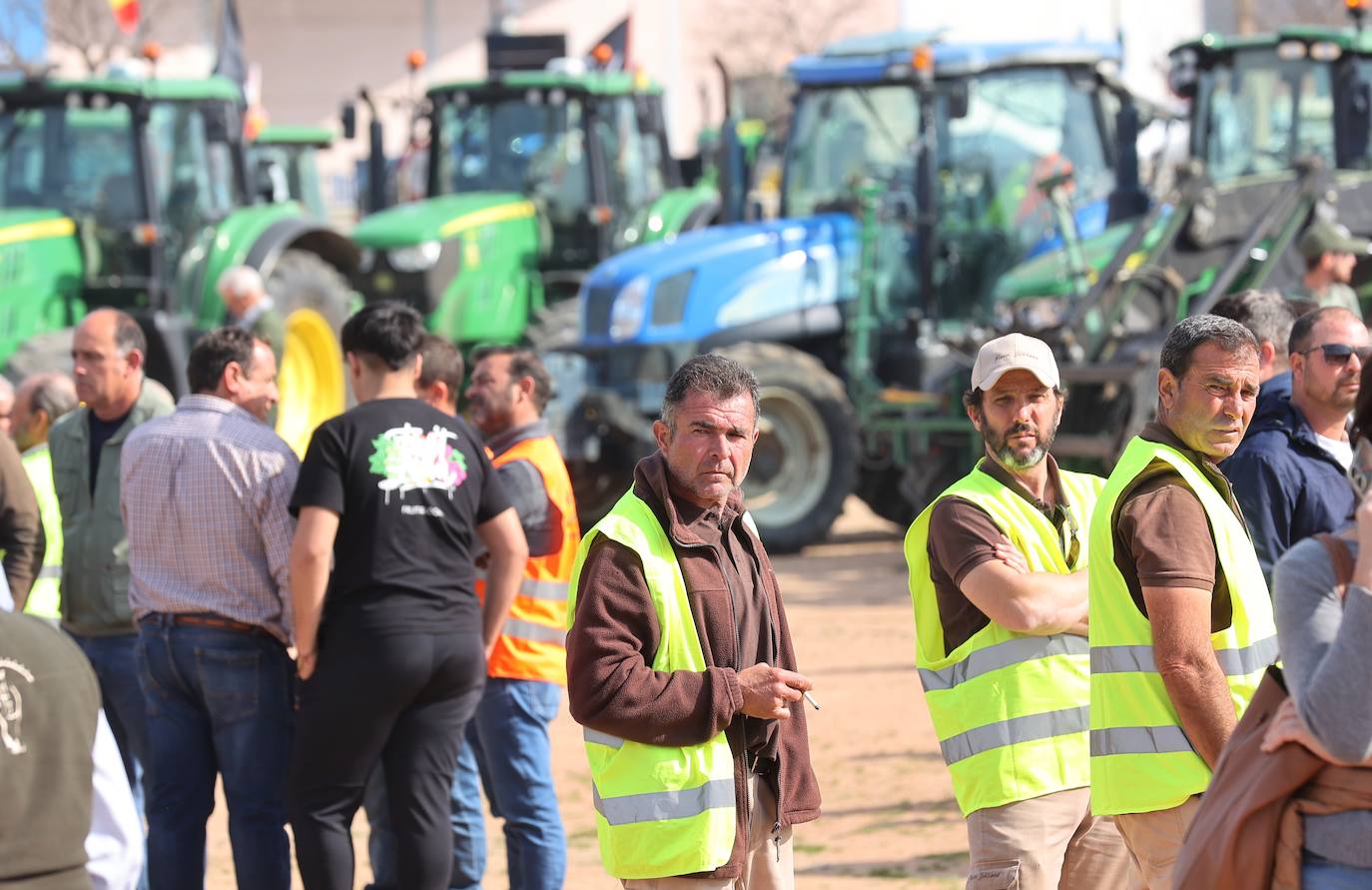 Fotos: la potente tractorada del campo en la ciudad de Córdoba