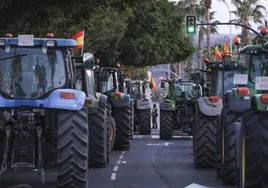 El puerto de Málaga bloqueado por las protestas de los agricultores: «Somos una molestia, pero la gente nos apoya»